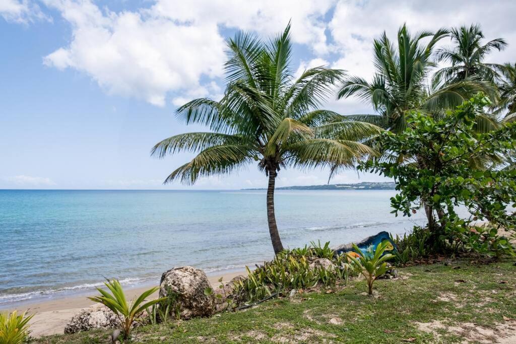 Beautiful Ocean Front Villa Aguada Exterior photo